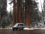 Springer With Pop camper van rental in Bellevue Washington exterior view